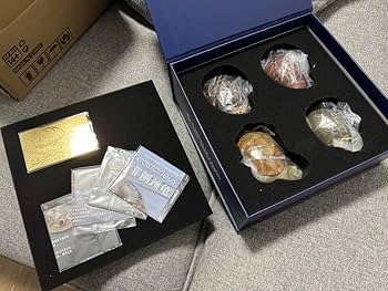 【動物の惑星】★上海展覧会限定ハコガメ2種類★ジオラマ第3、4弾! フィギュア 61HfORhjjwL._AC_SY200_QL15_.jpg